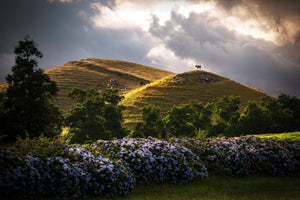 São Miguel – Idyllic natural paradise in the Azores | Stefan Liebermann