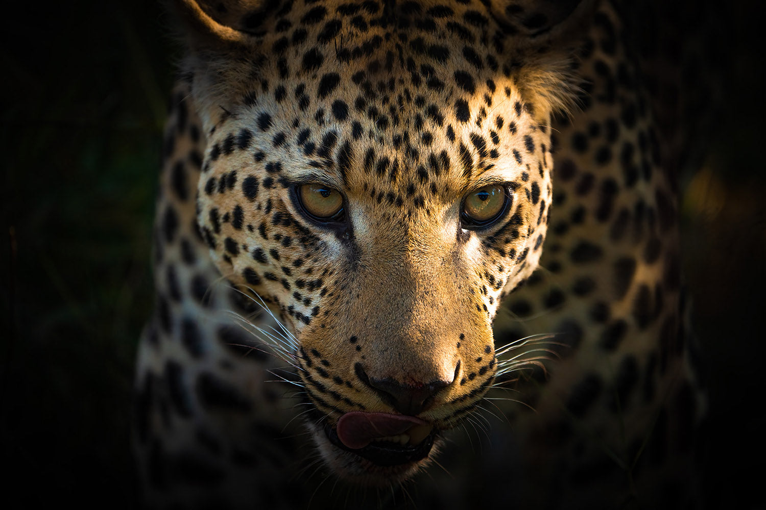 Photo tour Namibia April/May 2026