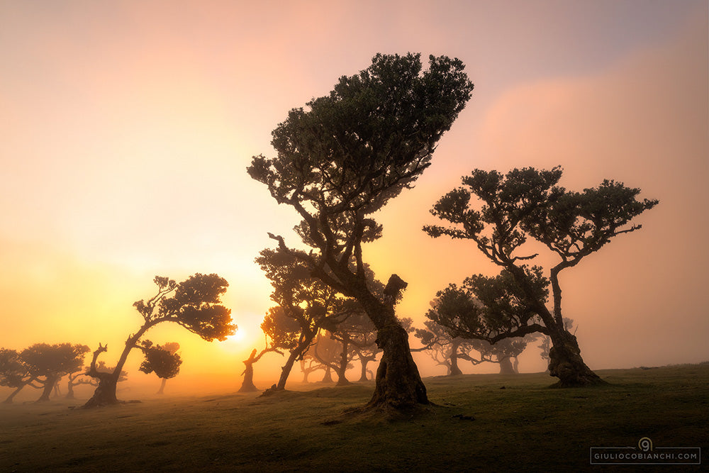 Photo tour Madeira June 2026