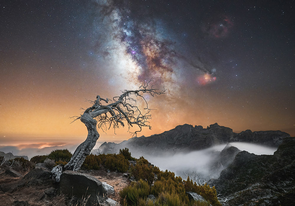 Photo tour Madeira June 2026