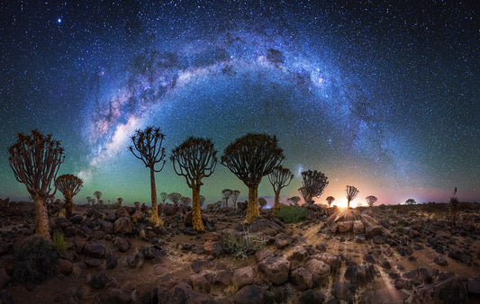 Photo tour Namibia April/May 2026