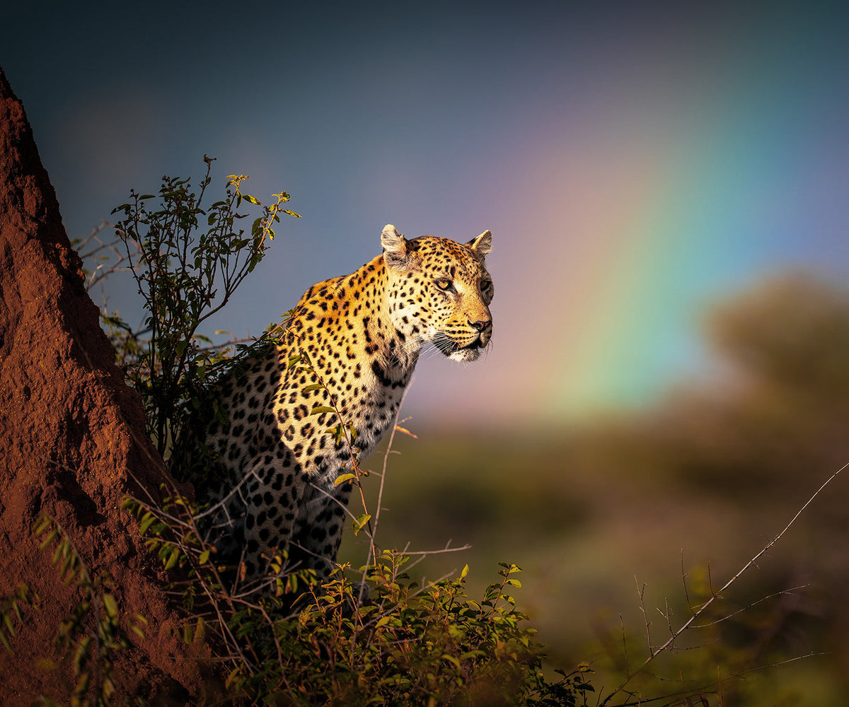 Namibia
