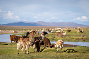 Fotoabenteuer Salar de Uyuni, Bolivien 05.03 - 16.03.2024